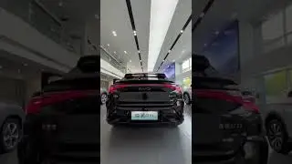BYD Sea Lion 07 ASMR