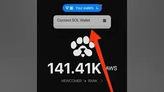 How to connect Solana phantom wallet to PAWS - How to connect multiple paws account to Solana wallet