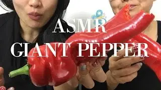 ASMR COSTCO GIANT SWEET PEPPERS (EATING SOUND) | SAS-ASMR