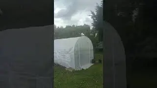 #smallholding #pollytunnel #wilko #greengrass