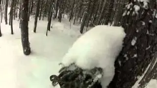 Northern Ontario trapping