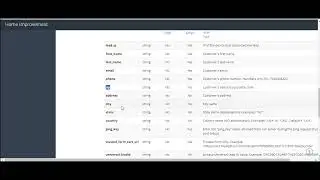 How to add buyer setup API integration | Ping Tree Systems | Lead Distribution Software