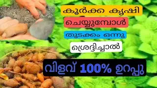 Terrace farming will double the yield | rijnas janna | terrace farming | inmalayalam