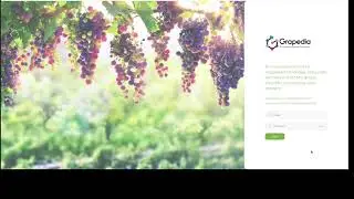 Grapedia: The Prototype