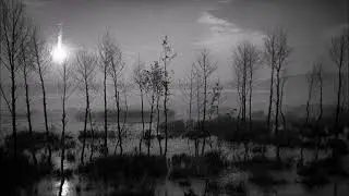 Vitalii Verhola (1946-1984): String trio (1971)