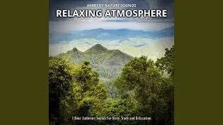 Soothing Sounds