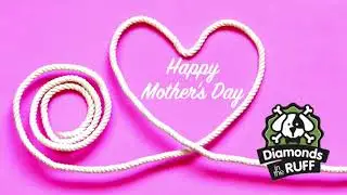 Happy Mother's Day 2021 from Diamonds in the Ruff Pet Resort and Salon