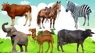 Animals Names For Kids | cartoon animated videos | kids animation song animal name with sound #जानवर
