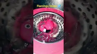 Flamingo Drops 💦Slow motion water magic🦩 #SlowMo#Flamingo#WaterDrops#Relaxing#SlowMotion#ViralVideo