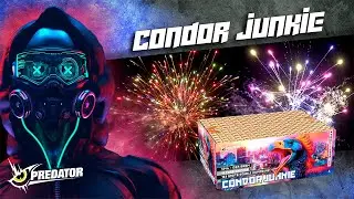 Condor Junkie - 04440 | CAT F2 | Official video