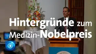 Medizin-Nobelpreis für Hepatitis-C-Entdecker