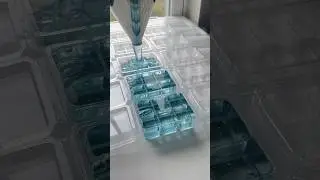 MAKING JELLY WAX MELTS FROM START TO FINISH! #relaxing #satisfying #satisfyingvideo #satisfyingasmr