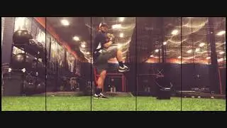 WHAT IF? - Velocity LOAD Baseball Harness 2020 by VPX Sports