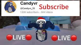 GORILLA TAG LIVE WITH VIEWERS