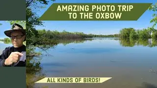 Amazing Photo Trip to the Oxbow Lake in Lawrenceburg, IN