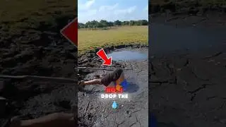 Mud Fails So Epic, You'll Cry Laughing! 😂 #shorts #fails #mud  #funnyfails