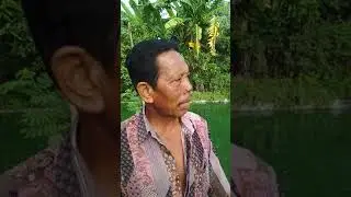 Testimoni NOC mArolis pembudidaya gurami