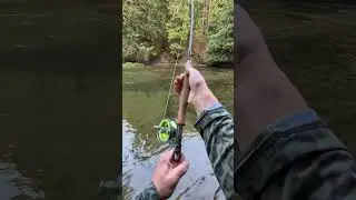 King salmon peeling drag #flyfishing #fishing #kingsalmon #michigan #trout
