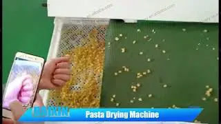 Pasta drying machine output video
