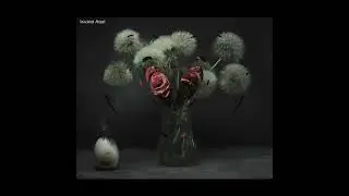 I miei scatti Still life