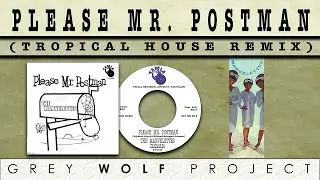 PLEASE MR POSTMAN - THE MARVELETTES (Grey Wolf Project Tropical House Remix)