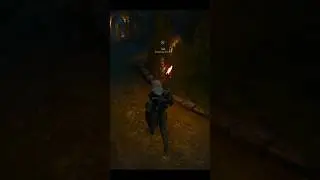Doing cardio in Redania! The Witcher 3 #thewitcher3 #funny #shorts #gaming #geralt #redania