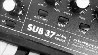 Moog Sub 37 Demo I