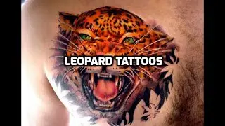 Leopard Tattoos - Best Leopard Tattoo Designs