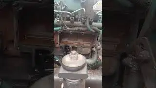 mwm Max force