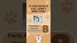 #cats #cathealth #information