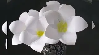 White Plumeria Flower 🌼🌼/Chembakam 🌼🌼  #craftpaperideas