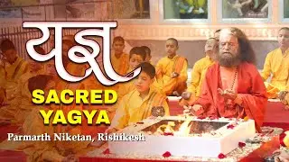 Sacred morning Yagya LIVE  at Parmarth Niketan Ashram, Rishikesh || 31 Dec 2025 ||