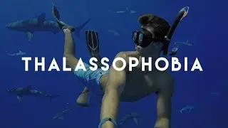 Swimming With Sharks