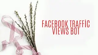 Erh&ouml;hen der Facebook Live Views 2021 bot