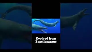 What animals evolved from #evolution #animals #shorts