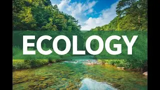 understanding ecology: The key to nature balance| Biology tutorial #Ecology #BiologyTutorial