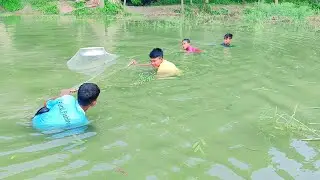 Amazing Net Fishing | Village Smart Boys Catching Fish By Net | Traditional Village Fishing Video
