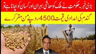 Big news: New Wheat support price 2025. Save farmers and Pakistan