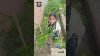 🌳 Save Trees! | Chipko Movement Activity by Grade 4 Students | Environmental Awareness