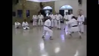 Jiu-Kumite demonstration - Hiroyasu Inoki Sensei X Jos&eacute; Carlos Lopes Sensei