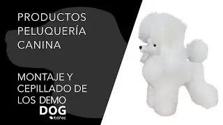 Montaje y cepillado de los DemoDog