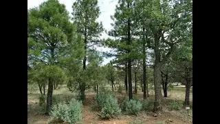 Commercial for sale - 3450 Durango Drive, Happy Jack, AZ 86024