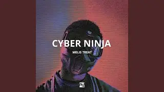Cyber Ninja