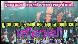 ഗുരുവായൂർ ക്ഷേത്രത്തിലെ ശീവേലിയും പ്രഭാത കാഴ്ച്ചകളും | 29/12/2025 | Guruvayur Temple Morning Shiveli