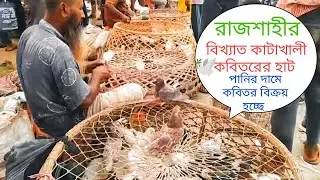 ### রাজশাহীর বিখ্যাত কাটাখালী কবিতরের হাট: একটি জীবন্ত ঐতিহ্যের গল্প  #আজকেরহাটবাজার #pigeonmarket