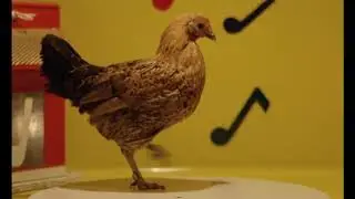 Dancing Chicken HD 60fps scene from Stroszek by Werner Herzog