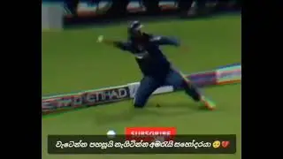 Danny boss 😪💔 #danushkagunathilaka #cricket #srilanka #shorts #fyp