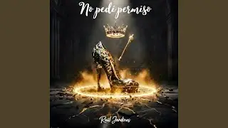 No ped&iacute; permiso