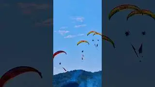Нападение диких Карлсонов!!!