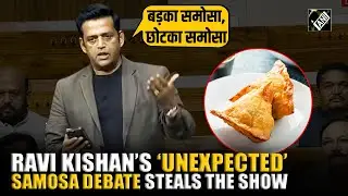 BJP MP Ravi Kishan&rsquo;s &lsquo;unexpected Samosa&rsquo; issue steals the show in Lok Sabha during Monsoon Session